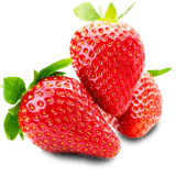 plantas-de-fresas.es