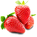 plantas-de-fresas.es